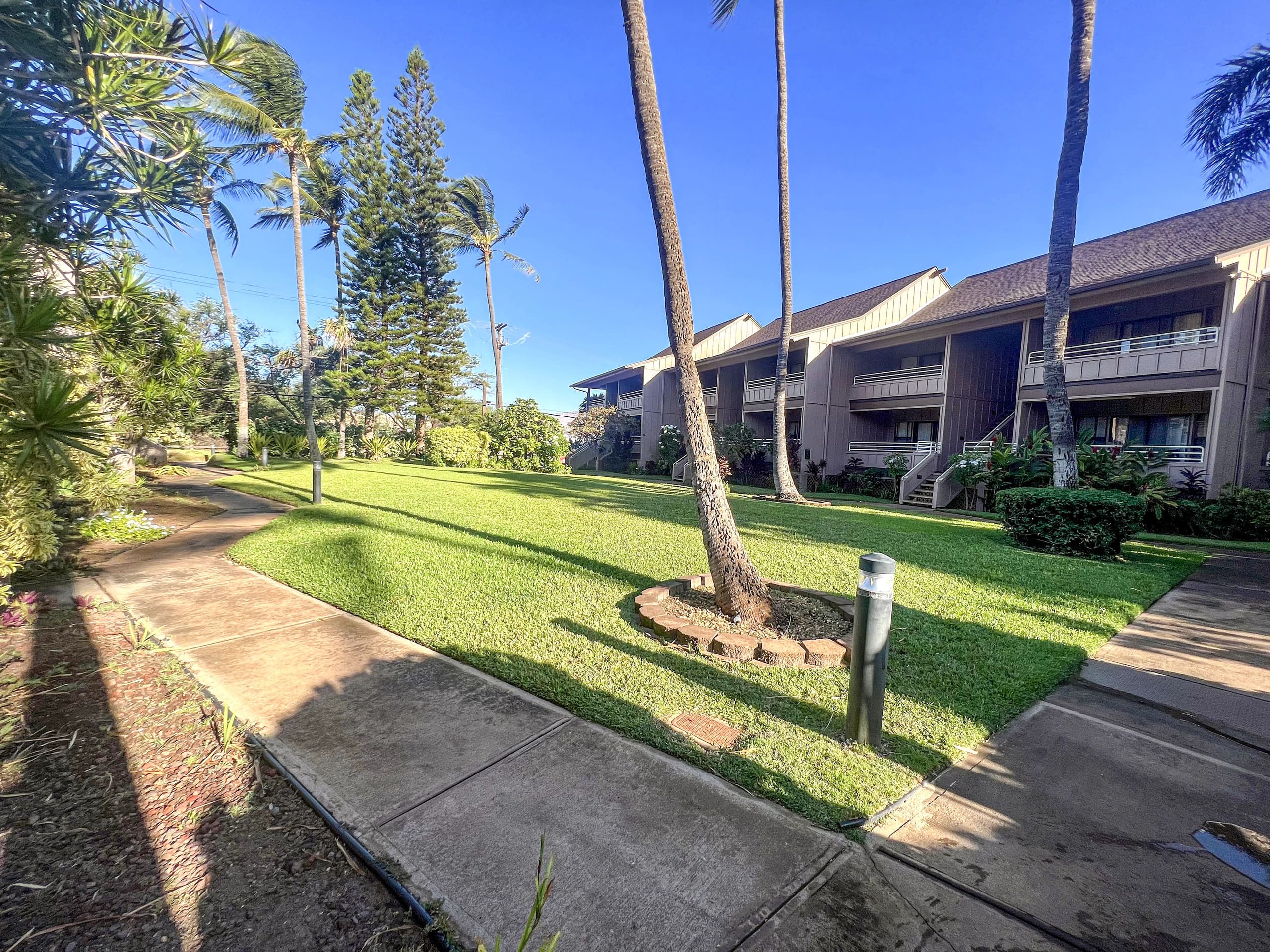 Condo in Kihei · ★4.9 · 1 bedroom · 1 bed · 1 bath - Image 16