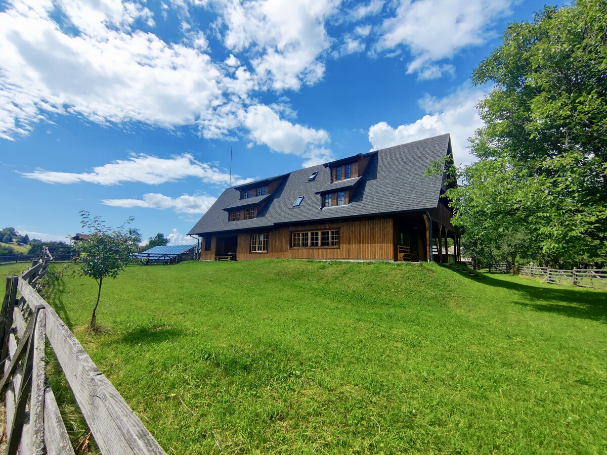 A rustic holiday house is showcased amidst a lush green lawn, framed by a wooden fence. The structure features a peaked roof and multiple windows that reflect the natural light, with surrounding trees and an expansive blue sky enhancing the tranquil environment.