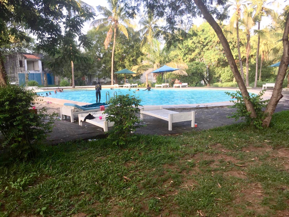 A serene outdoor swimming pool surrounded by palm trees is depicted, with loungers positioned nearby. Shade is provided by umbrellas over the pool area. Green grass and shrubs create a natural border, contributing to a tranquil and inviting atmosphere.