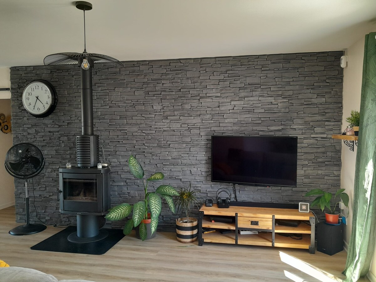 Მისაღები ოთახი ტელევიზორით, შეშის ღუმელით, 2 ადგილიანი გასაშლელი დივნით 140 სმ.