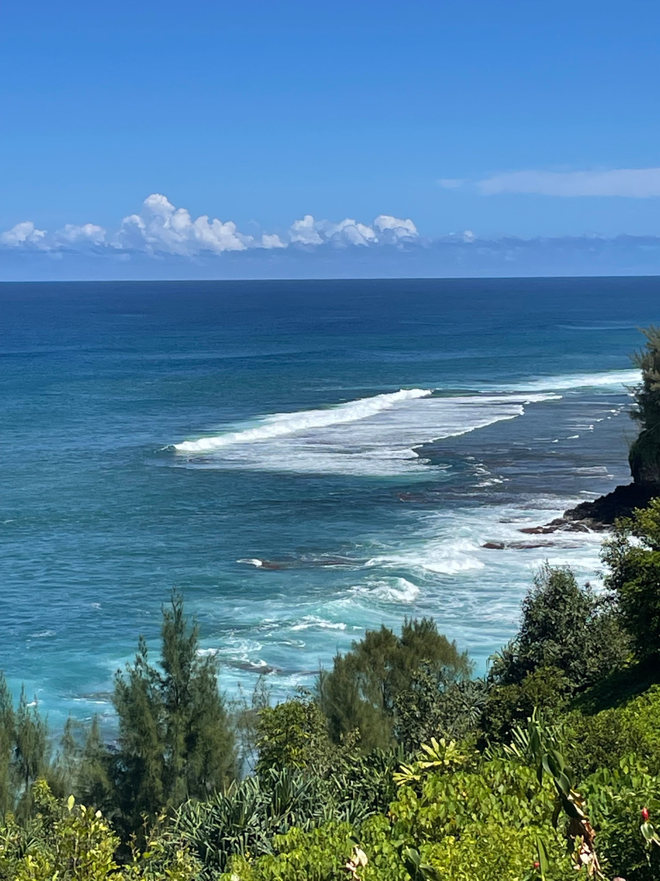 Oceanfront Condo 2 Bedrooms, 2 Baths - Photo 10