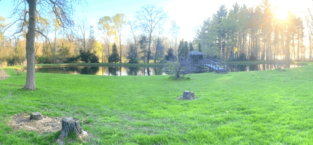 A serene view of a large, tranquil pond surrounded by lush green grass and trees. A bridge is visible across the water, with the sunlight filtering through the leaves, creating a calming atmosphere. The landscape promotes a peaceful connection with nature.