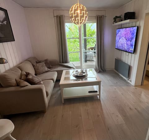 Successful Airbnb property: Centrally located apartment in Nord Fron
