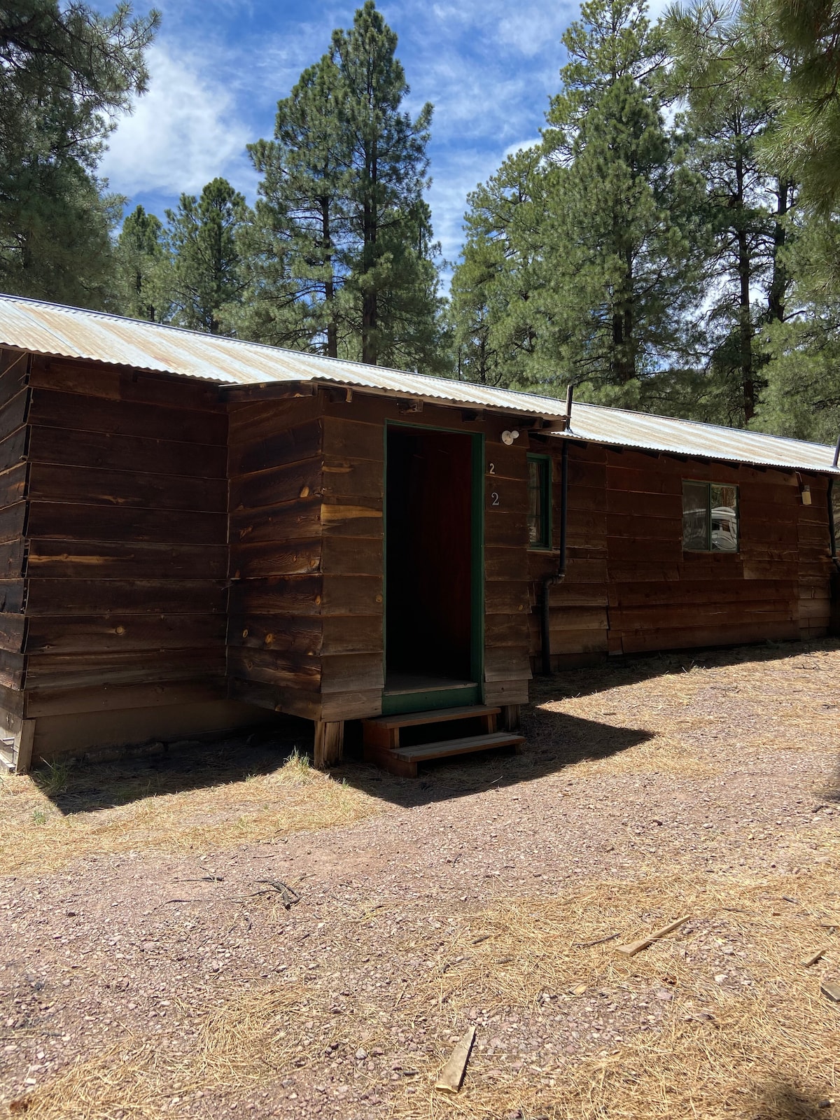 The exterior of a rustic cabin is shown, featuring wooden siding and a metal roof. A small set of steps leads to the entrance, which is flanked by tall pine trees. The surrounding area is covered with pine needles and gravel, creating a natural setting.