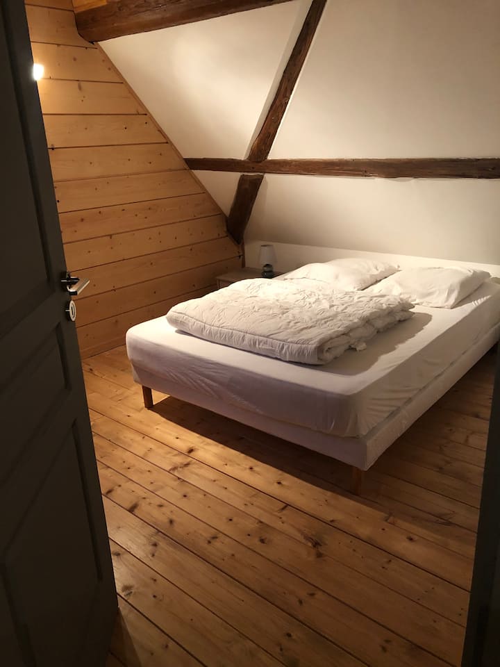 Chumba cha kulala kilicho na kitanda cha watu wawili na WARDROBE nyuma ya mlango 