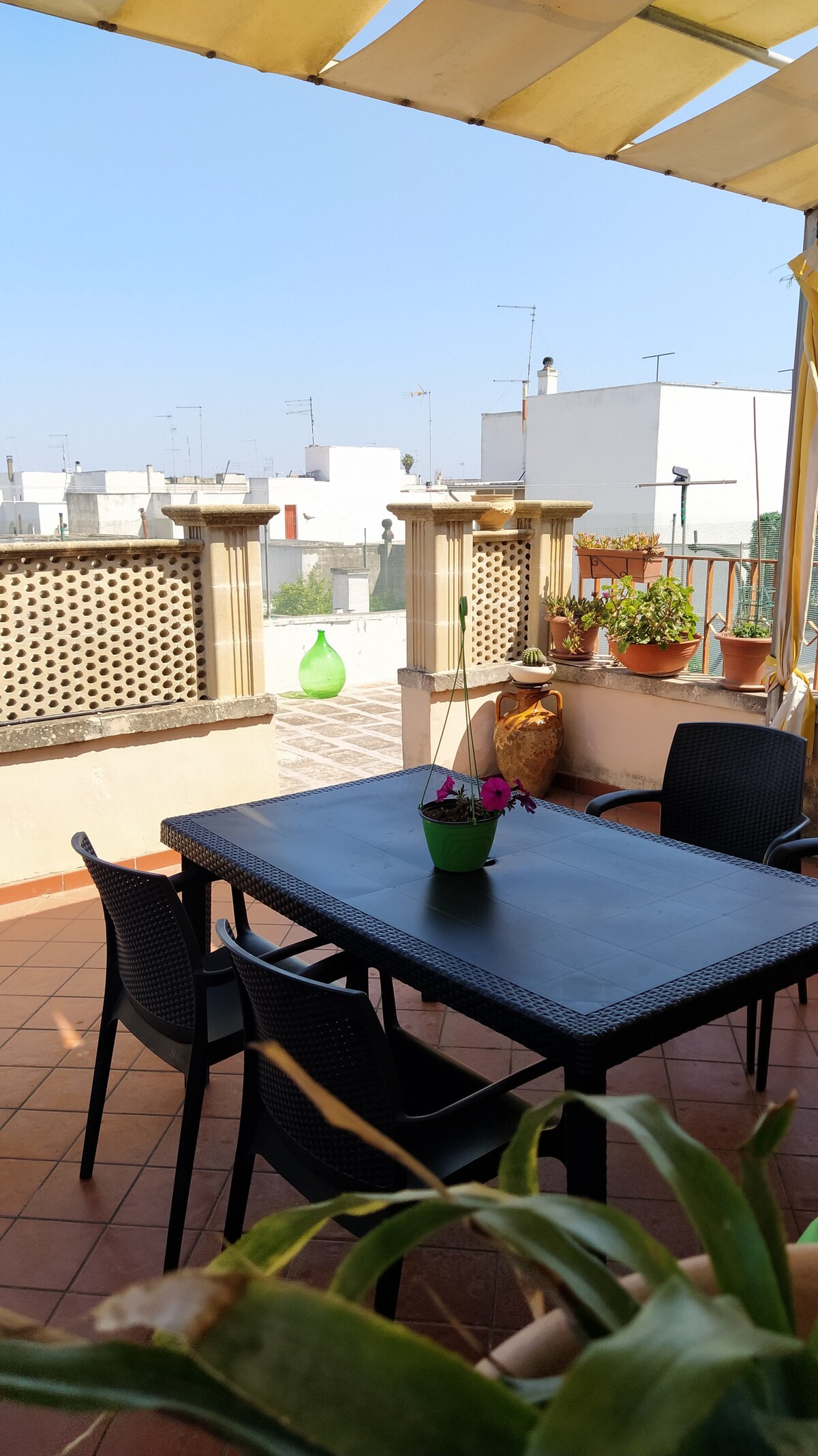 A private terrace is presented, featuring a dark rectangular table surrounded by four black chairs. Colorful potted plants adorn the space, and a green decorative bottle adds a touch of color. A clear blue sky is visible in the background, enhancing the serene atmosphere.