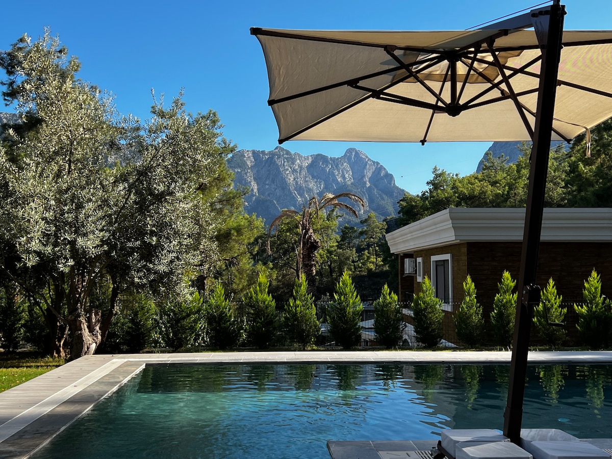 A serene outdoor area features a calm swimming pool, flanked by olive trees and lush greenery. A large umbrella provides shade, with the backdrop of majestic mountains visible against a clear blue sky.