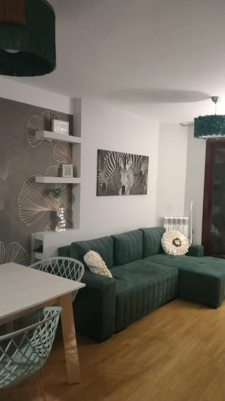 Apartamento Cómodo, Silencioso Y Con Estilo. - Sabiñánigo