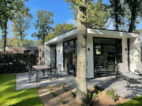 Lovely 6-person cottage on the Veluwe