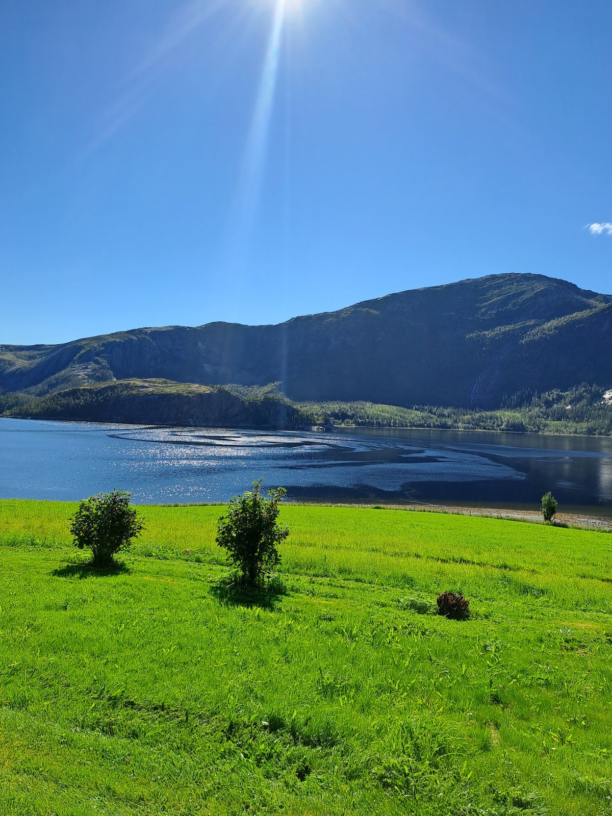 A serene landscape showcases a vibrant green field leading to a calm body of water. Majestic mountains rise in the background under a clear, blue sky, with sunlight glistening on the water's surface. A few small bushes are present, adding a natural touch to the scenery.