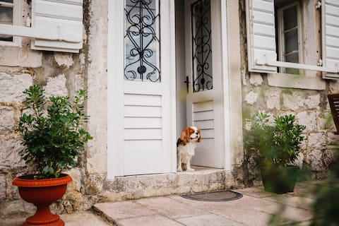 House White Shutters with 300 years of history.