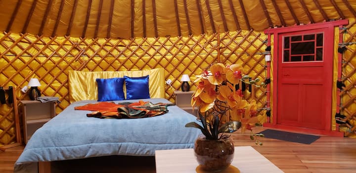 T.Curib.   yurt cama.