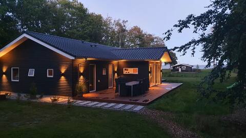 The summerhouse Lundø with Water View