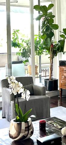 Brera Luxury Flat with terraces gallery image 5