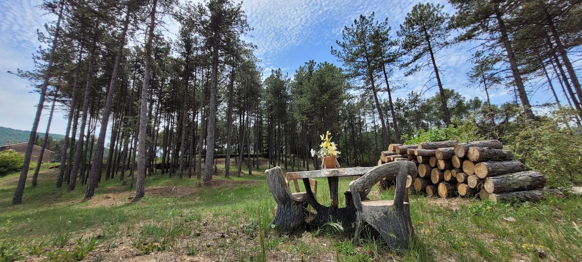 A natural setting is depicted, featuring a rustic wooden table surrounded by log seating. Tall pine trees create a serene backdrop, while a stack of logs is positioned nearby, complementing the tranquil atmosphere of the outdoor space.
