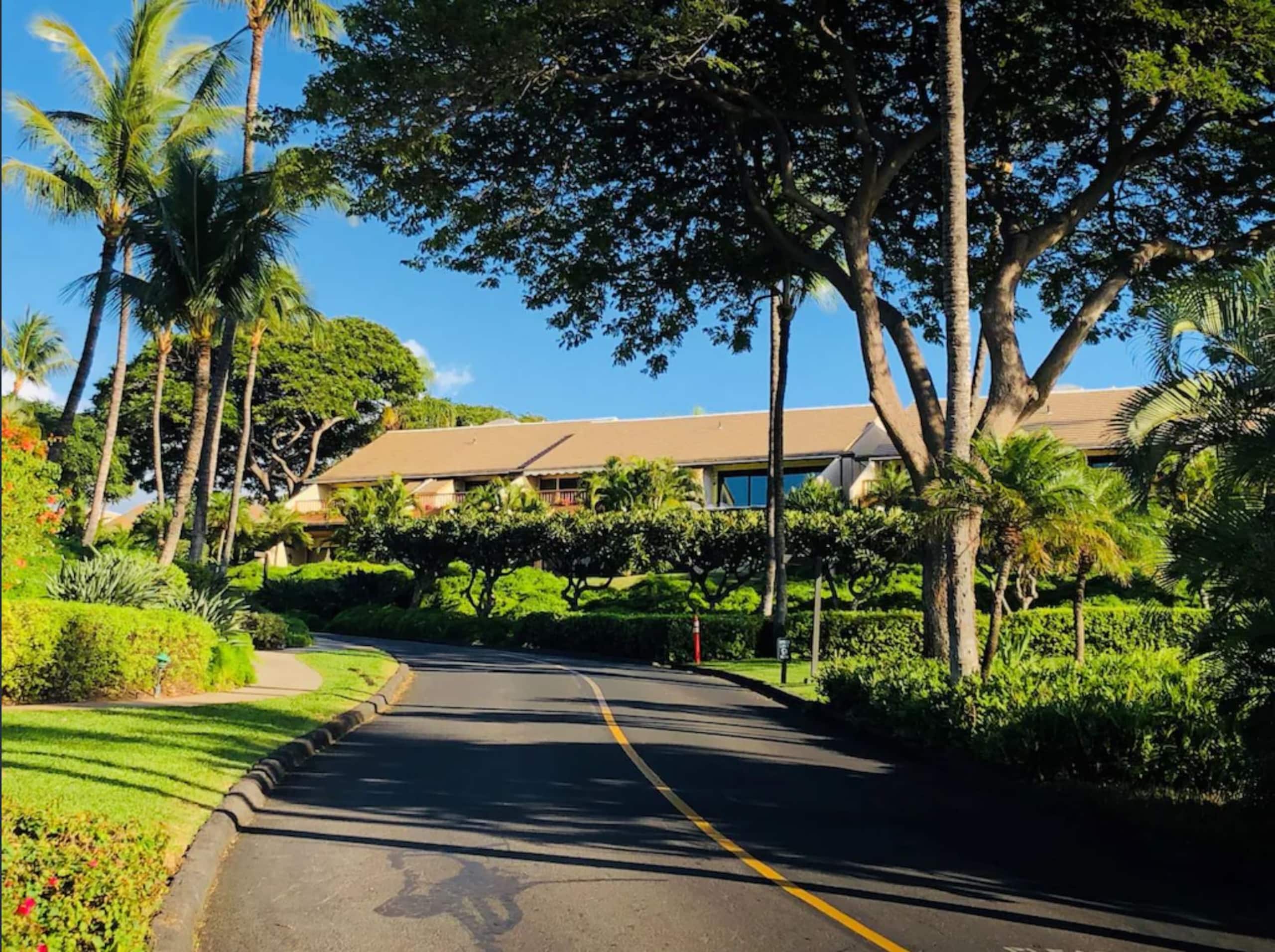Condo in Kihei · ★5.0 · 2 bedrooms · 3 beds · 2 private baths - Image 34