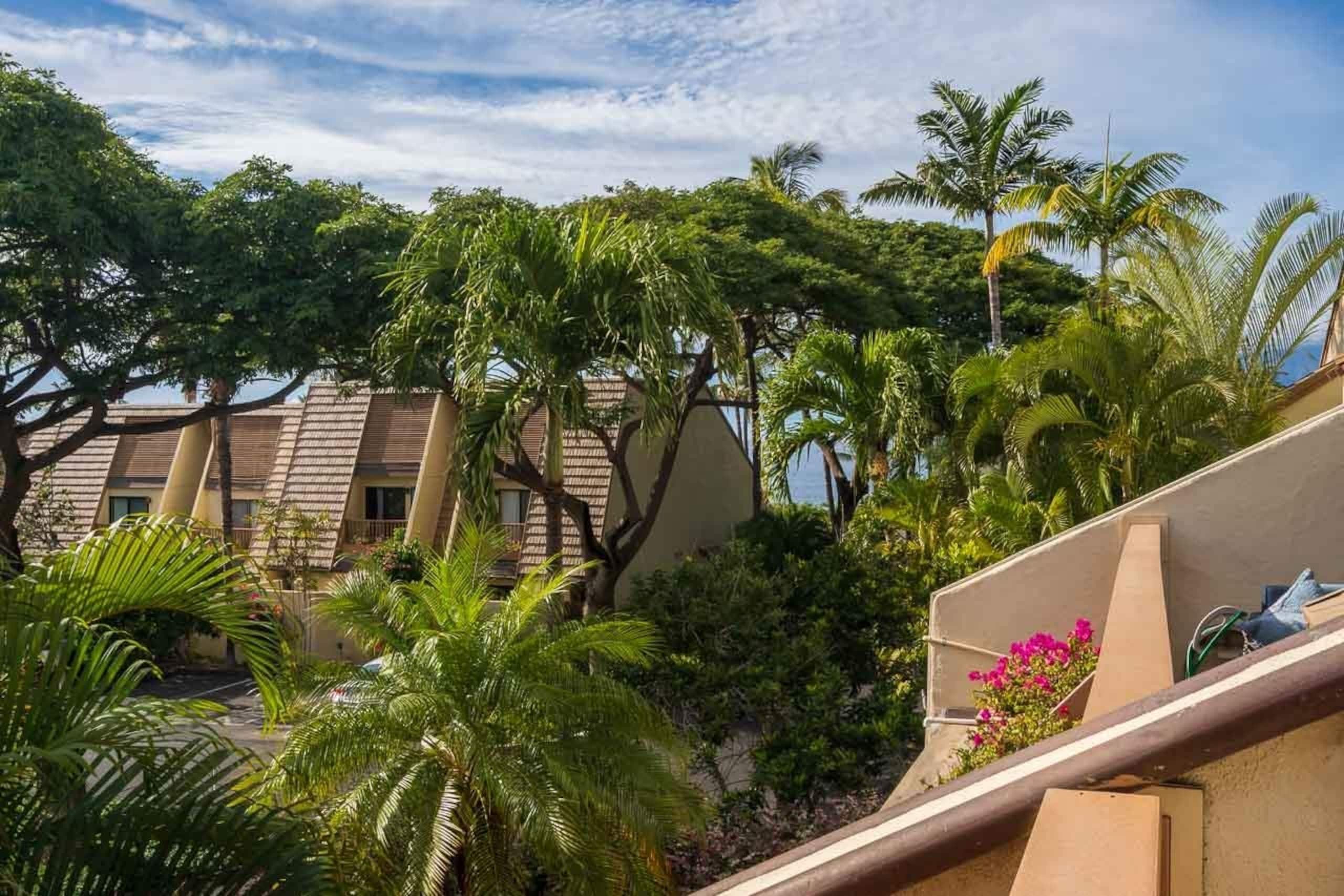 Condo in Kihei · ★5.0 · 2 bedrooms · 3 beds · 2 private baths - Image 12