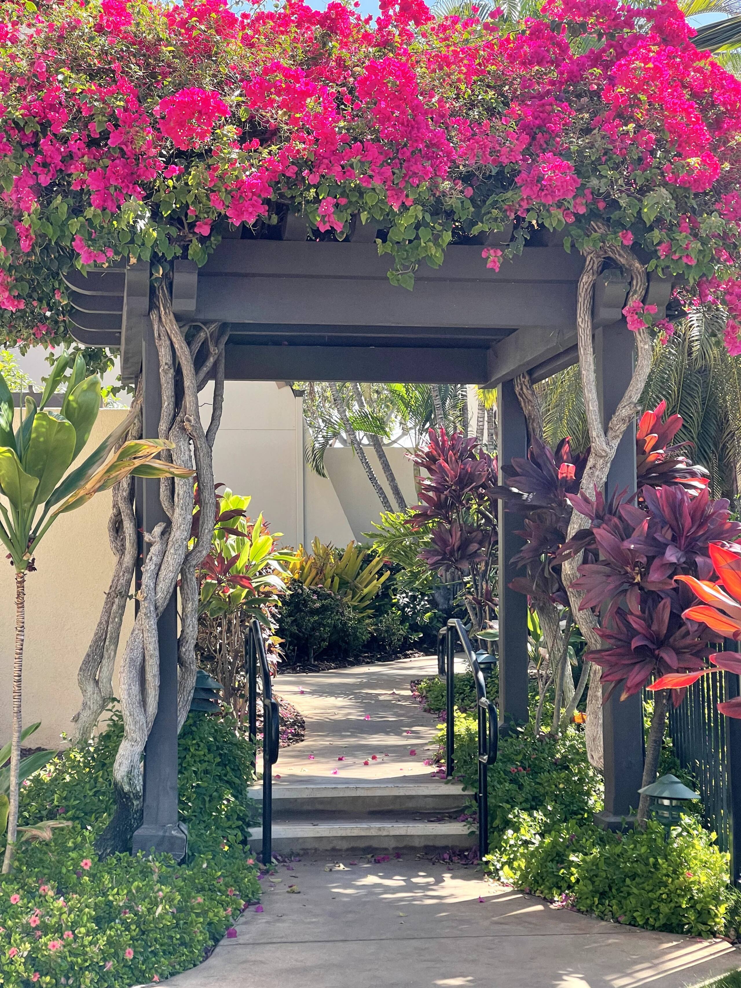 Condo in Kihei · ★5.0 · 2 bedrooms · 3 beds · 2 private baths - Image 24