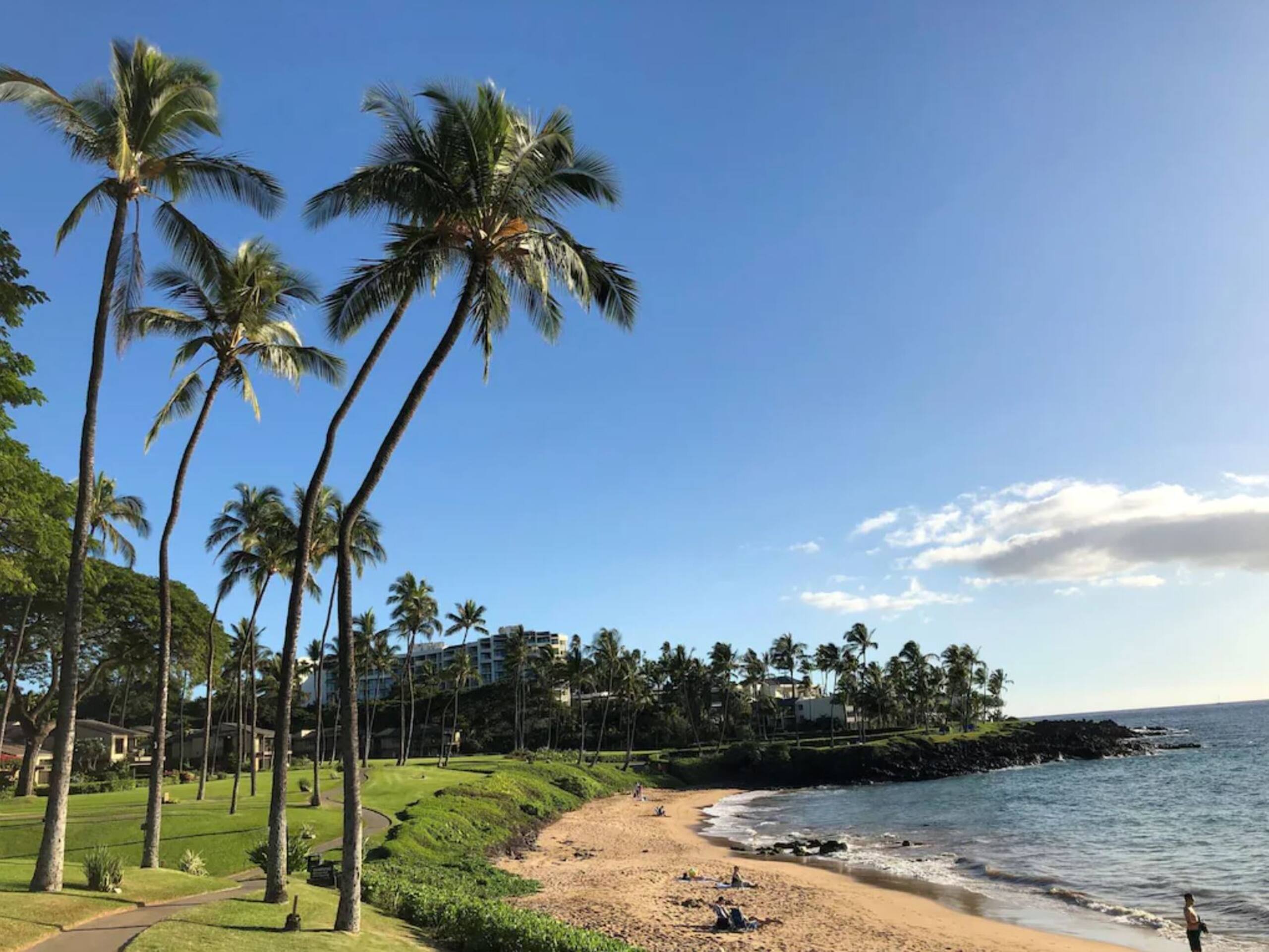 Condo in Kihei · ★5.0 · 2 bedrooms · 3 beds · 2 private baths - Image 38