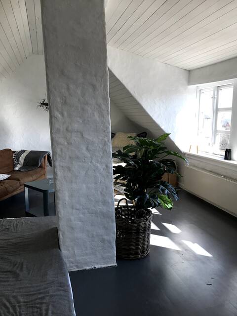 Successful Airbnb property: Charming townhouse with unique ocean view in Faaborg Midtfyn