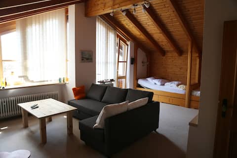 cosy 2 bedroom attic appartment