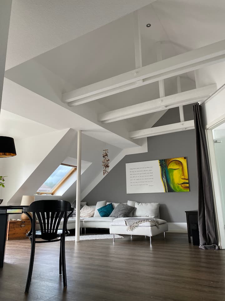 Sunny Apartment Condominiums for Rent in Braunschweig, Niedersachsen