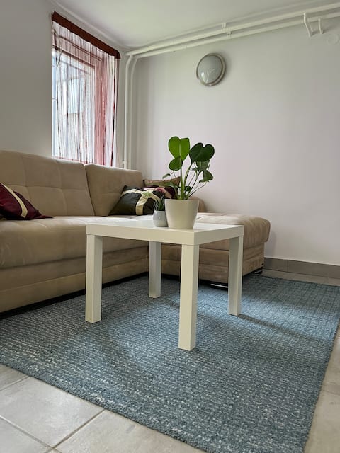 Top Airbnb: Cozy apartment in Ljubljana - Free parking in Četrtna Skupnost Rudnik