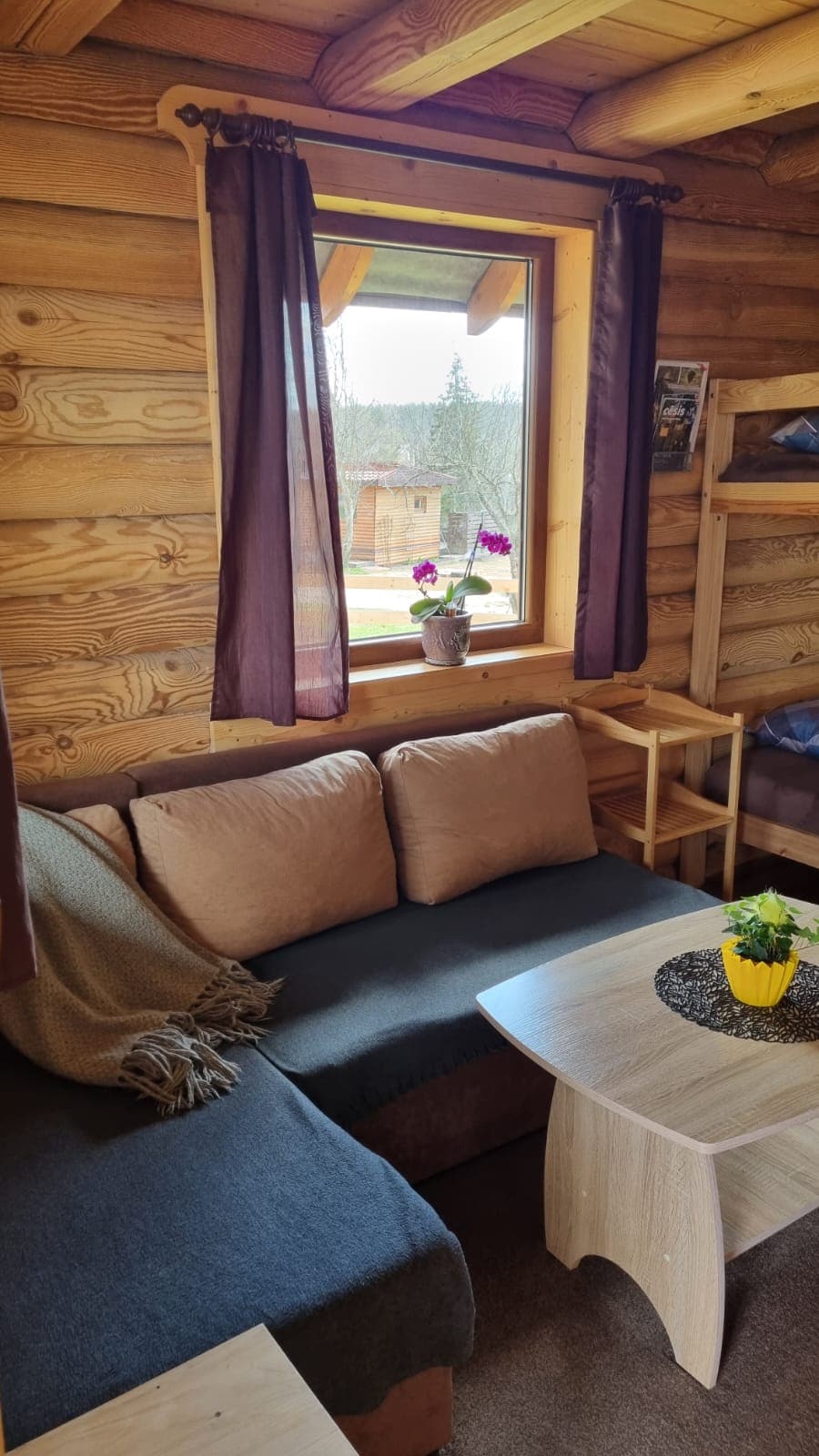A cozy seating area features a dark sofa accented by cream-colored cushions and a soft blanket. A small coffee table with a decorative plant sits in front. Natural light streams through a window adorned with dark curtains, illuminating the rustic wooden walls.