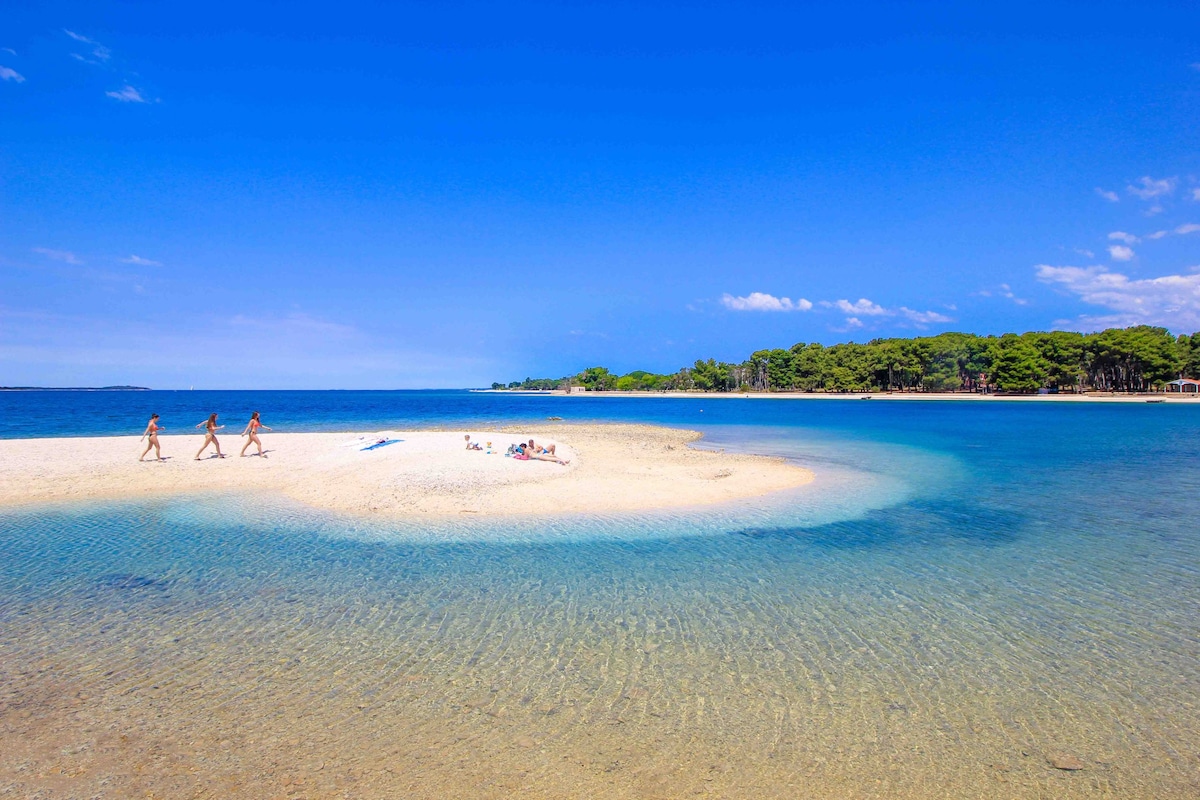 A serene beach scene features a shallow sandbar surrounded by clear blue waters. A few individuals can be seen walking along the shore, with vibrant greenery visible in the background. The sky is bright and clear, enhancing the coastal environment.