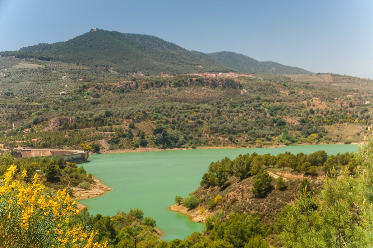 A serene landscape is captured, featuring a tranquil body of water with a greenish hue surrounded by lush foliage. Rolling hills and distant mountains create a natural backdrop, while patches of vibrant yellow flowers add a splash of color to the scene.