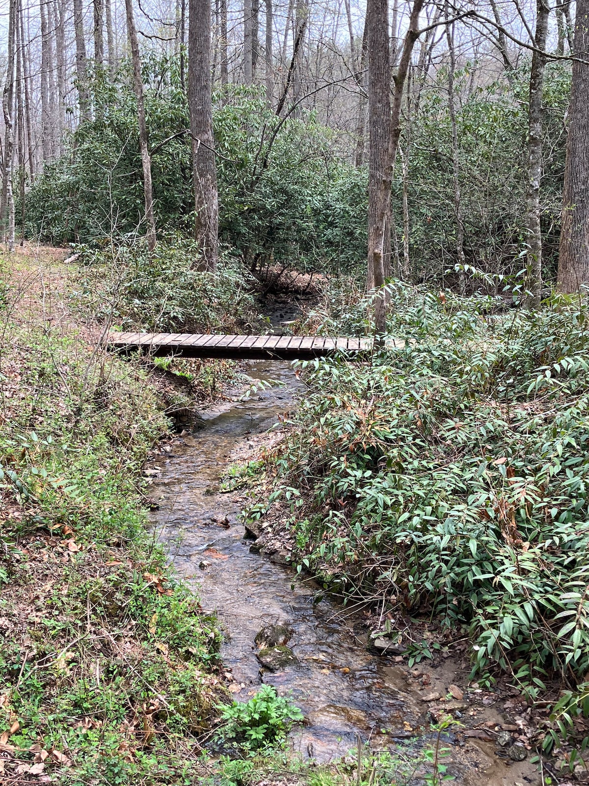 A wooden bridge spans a gentle creek, surrounded by lush greenery and trees. The water flows calmly beneath, reflecting the natural serenity of the area. Various plants and shrubs frame the scene, enhancing the peaceful atmosphere of this outdoor space.