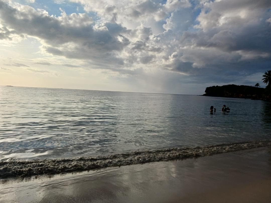 A serene beach scene features calm waters reflecting the cloudy sky. In the distance, a few figures can be seen wading in the water. Gentle waves lap at the sandy shore, creating a peaceful atmosphere, with lush greenery visible on the coastline.