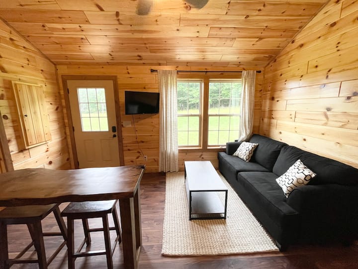 Brushy Mountain Cabin - Seneca Rocks, WV