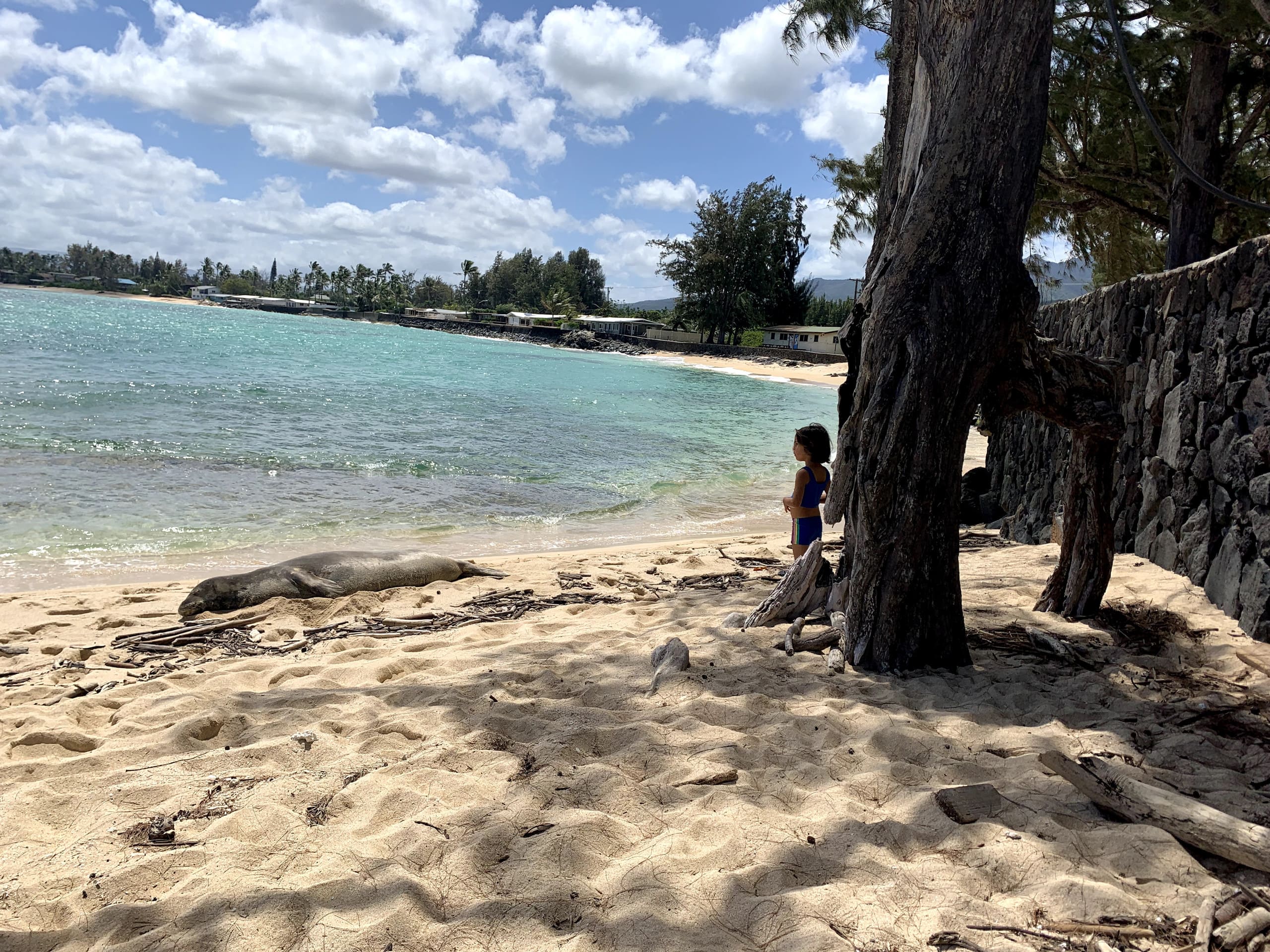 Condo in Kahuku · ★4.97 · 2 bedrooms · 3 beds · 2.5 private baths - Image 45