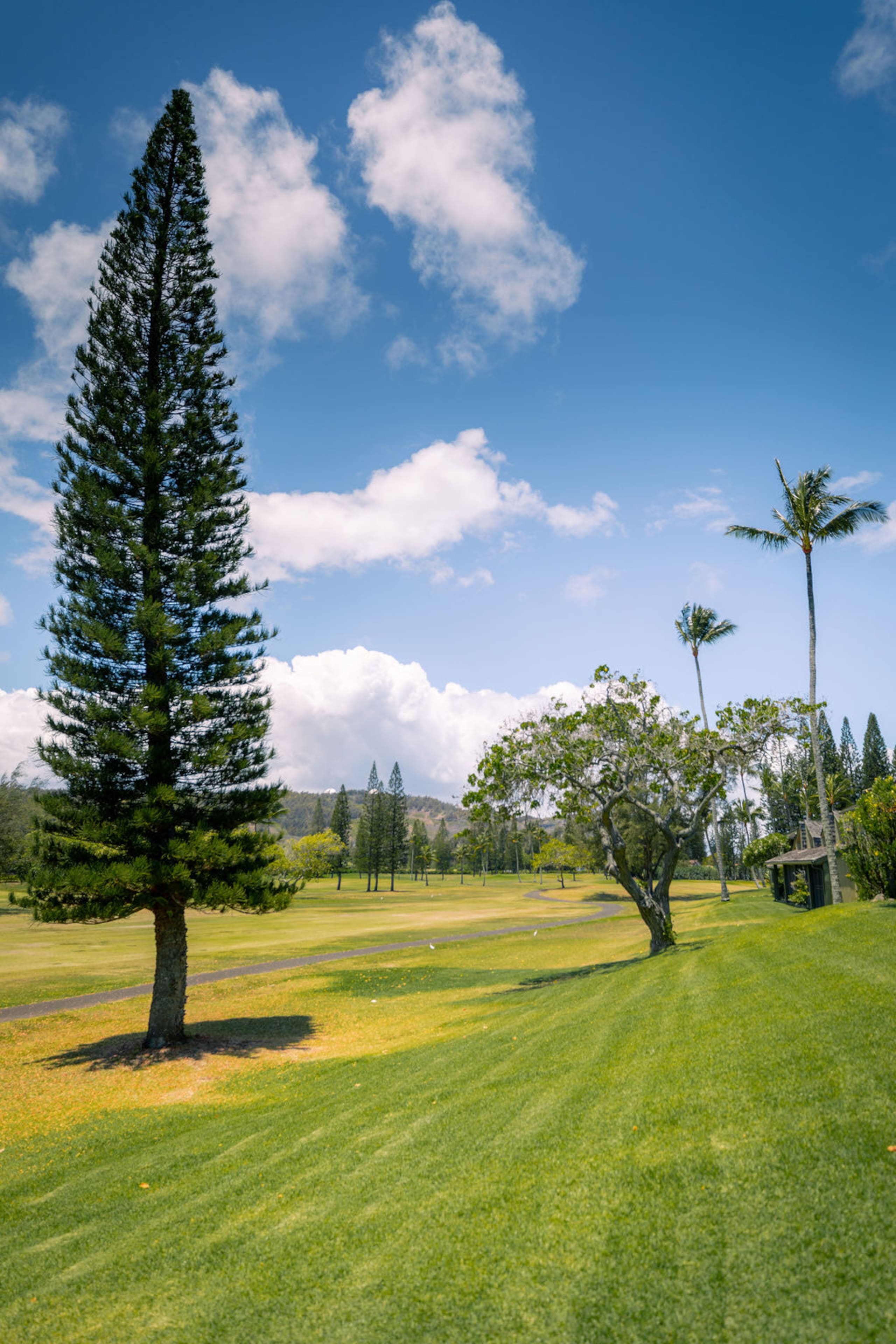 Condo in Kahuku · ★4.97 · 2 bedrooms · 3 beds · 2.5 private baths - Image 53