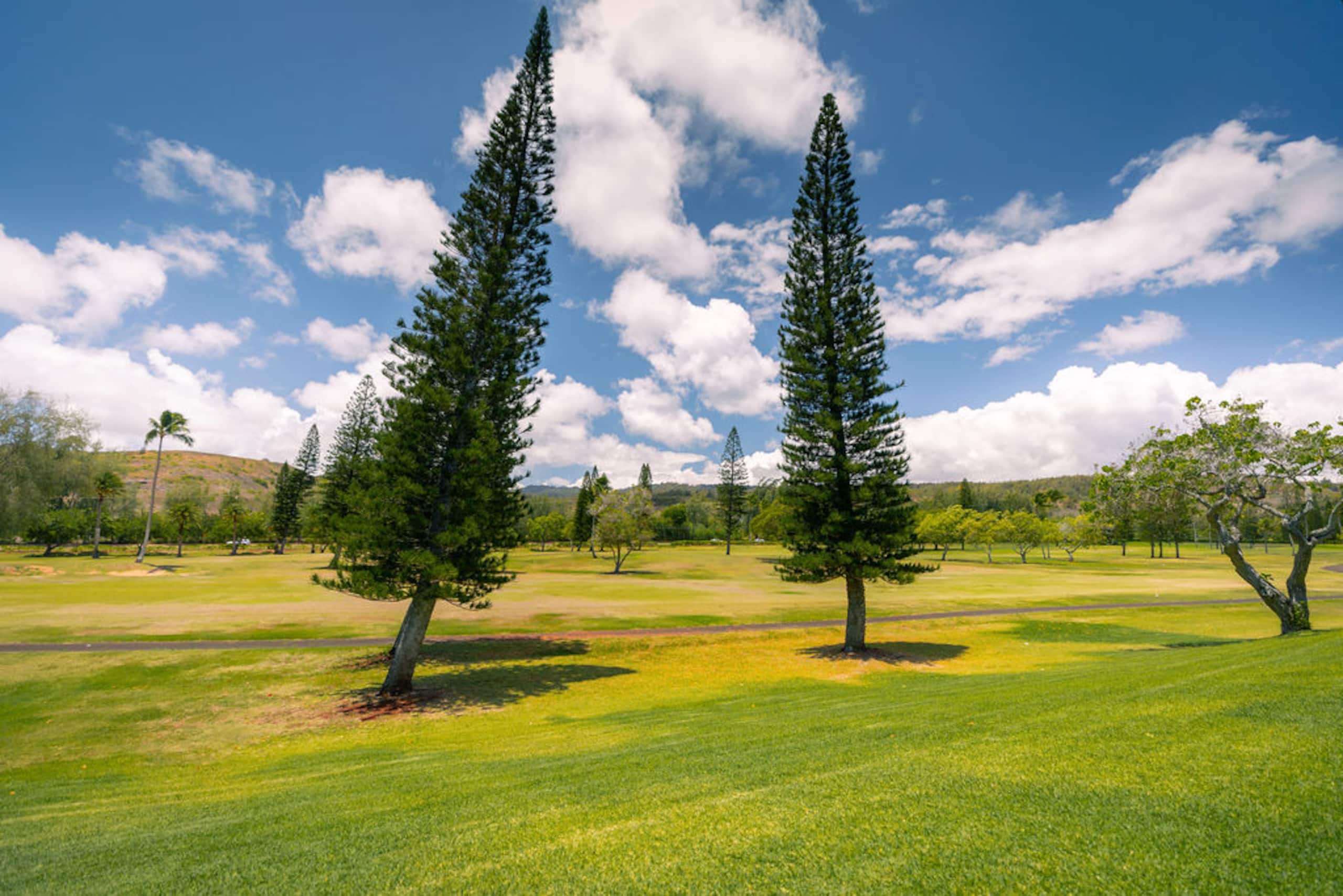 Condo in Kahuku · ★4.97 · 2 bedrooms · 3 beds · 2.5 private baths - Image 52