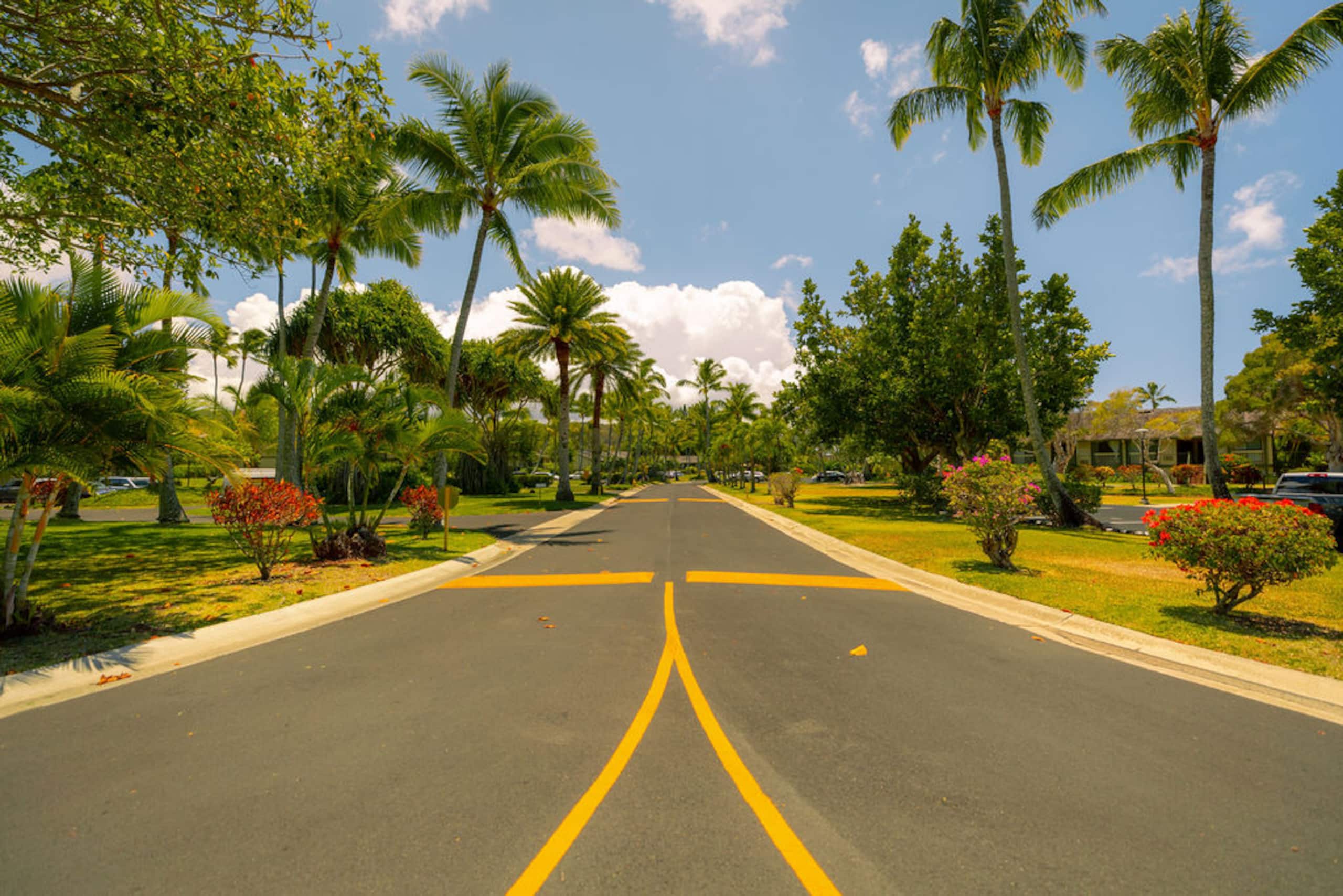 Condo in Kahuku · ★4.97 · 2 bedrooms · 3 beds · 2.5 private baths - Image 61