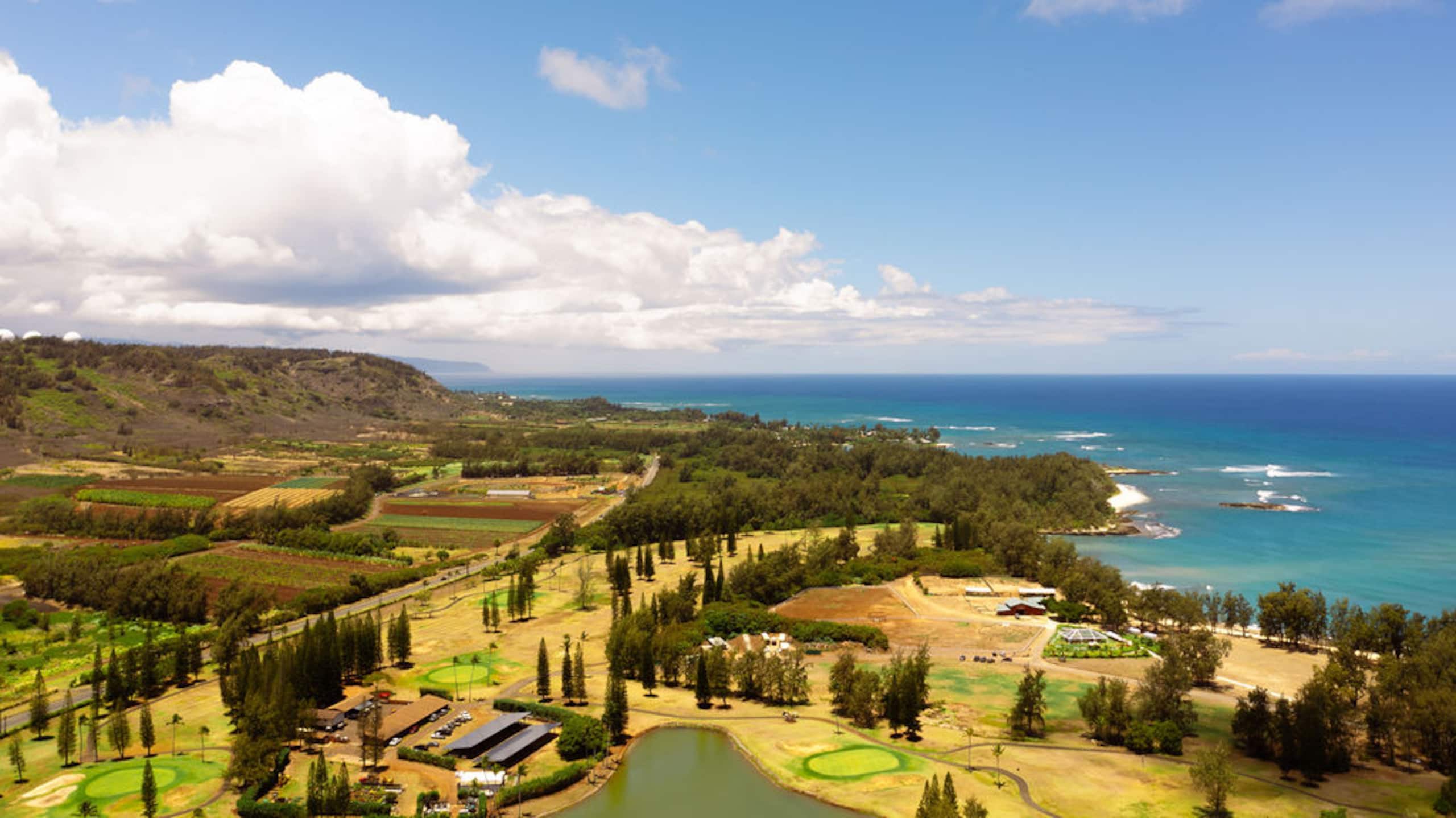 Condo in Kahuku · ★4.97 · 2 bedrooms · 3 beds · 2.5 private baths - Image 57