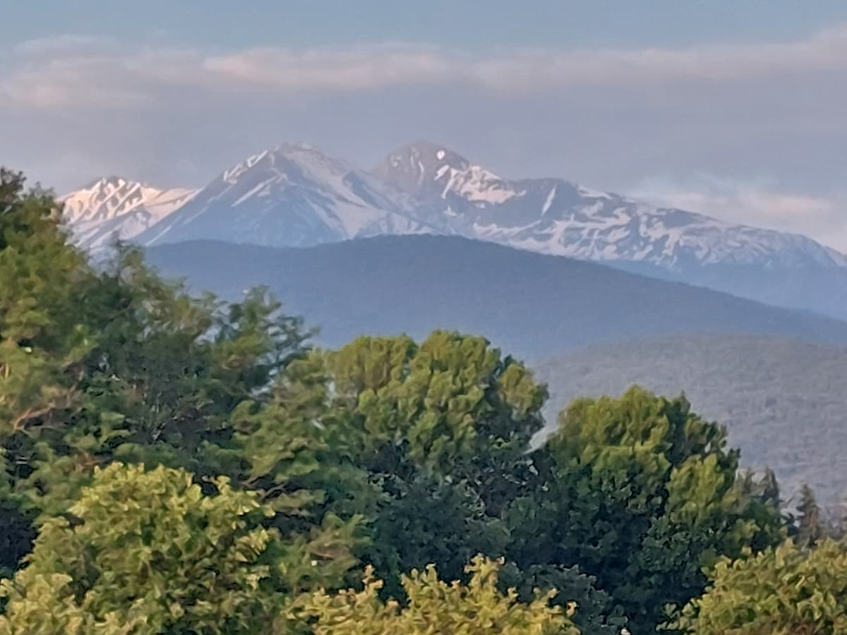 Snow-capped mountain peaks rise majestically in the distance, framed by lush green trees. The natural landscape showcases varying shades of green foliage, creating a serene backdrop against the bright blue sky.