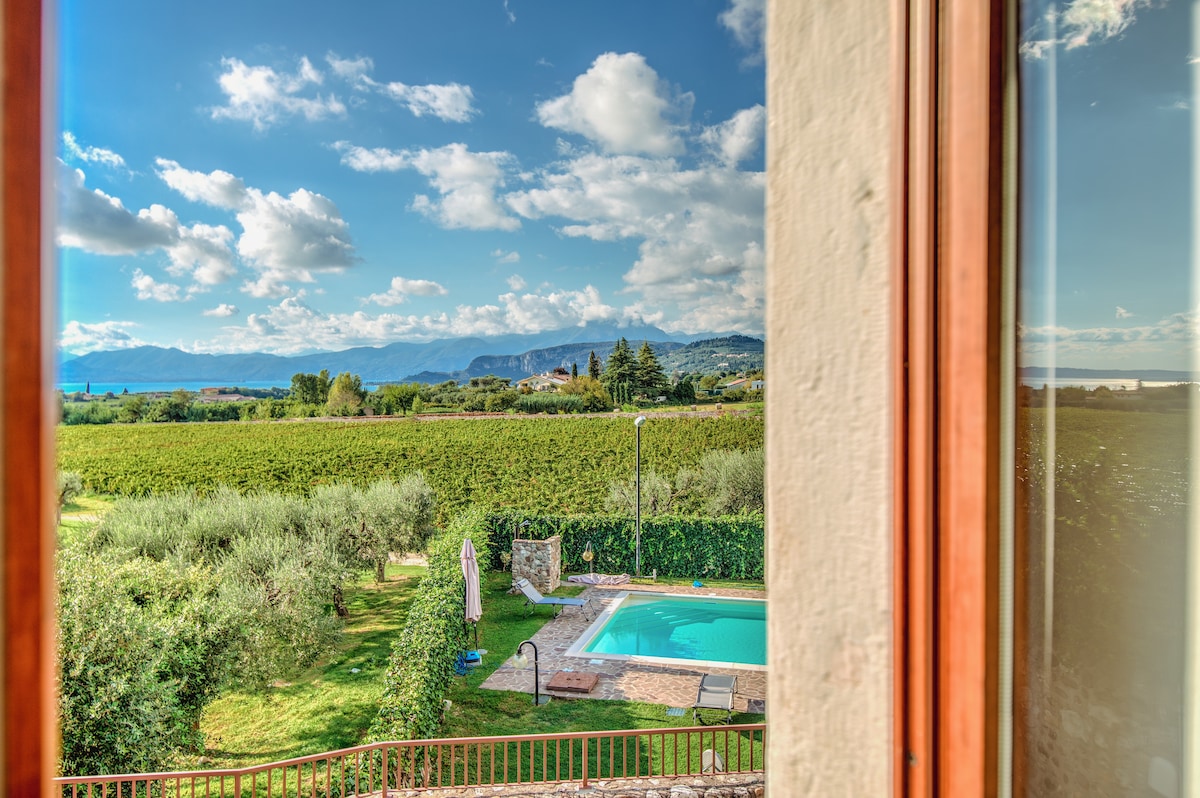 A scenic view is captured from a window, showcasing lush vineyards and olive groves. A private pool is visible in the foreground, framed by greenery, while the backdrop features gentle rolling hills and a cloudy sky.
