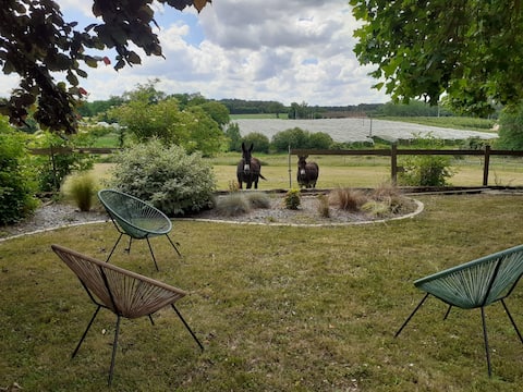 Gîte des ânes (Family home - sleeps 13)