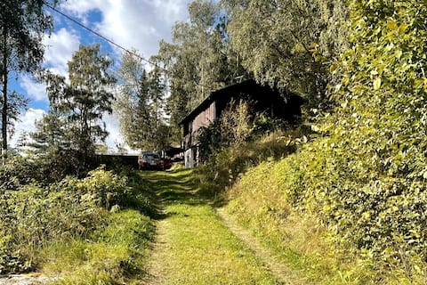 Cozy cabin within walking distance to the center of Lom