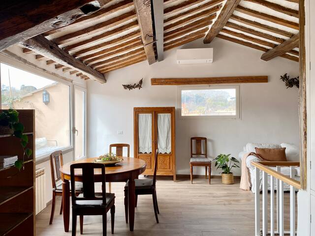 Wonderful apartments with private rooftop up to 14 gallery image 5