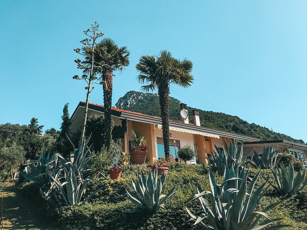 A charming house nestled among lush greenery, featuring tall palm trees and ornamental agave plants in the foreground. The structure is highlighted by vibrant flower pots and a mountain backdrop beneath a clear blue sky.