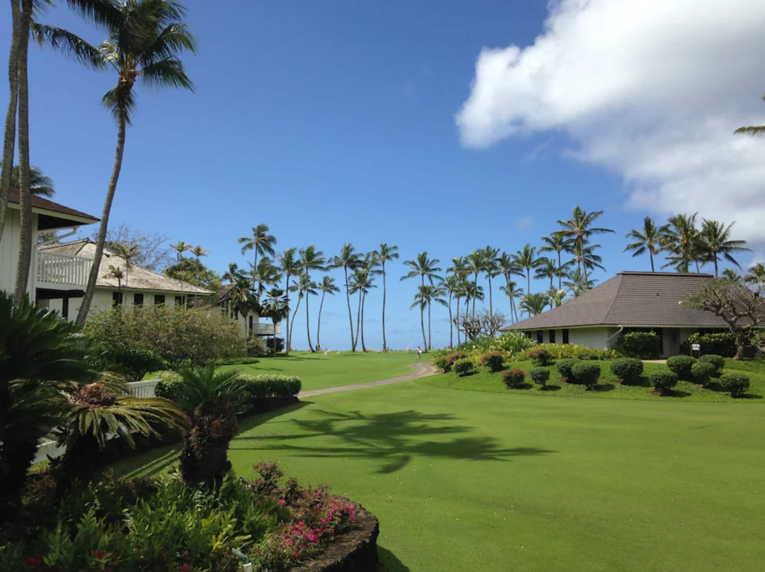 Poipu Beach Private Balcony Condo, A/C, Pool - Photo 24