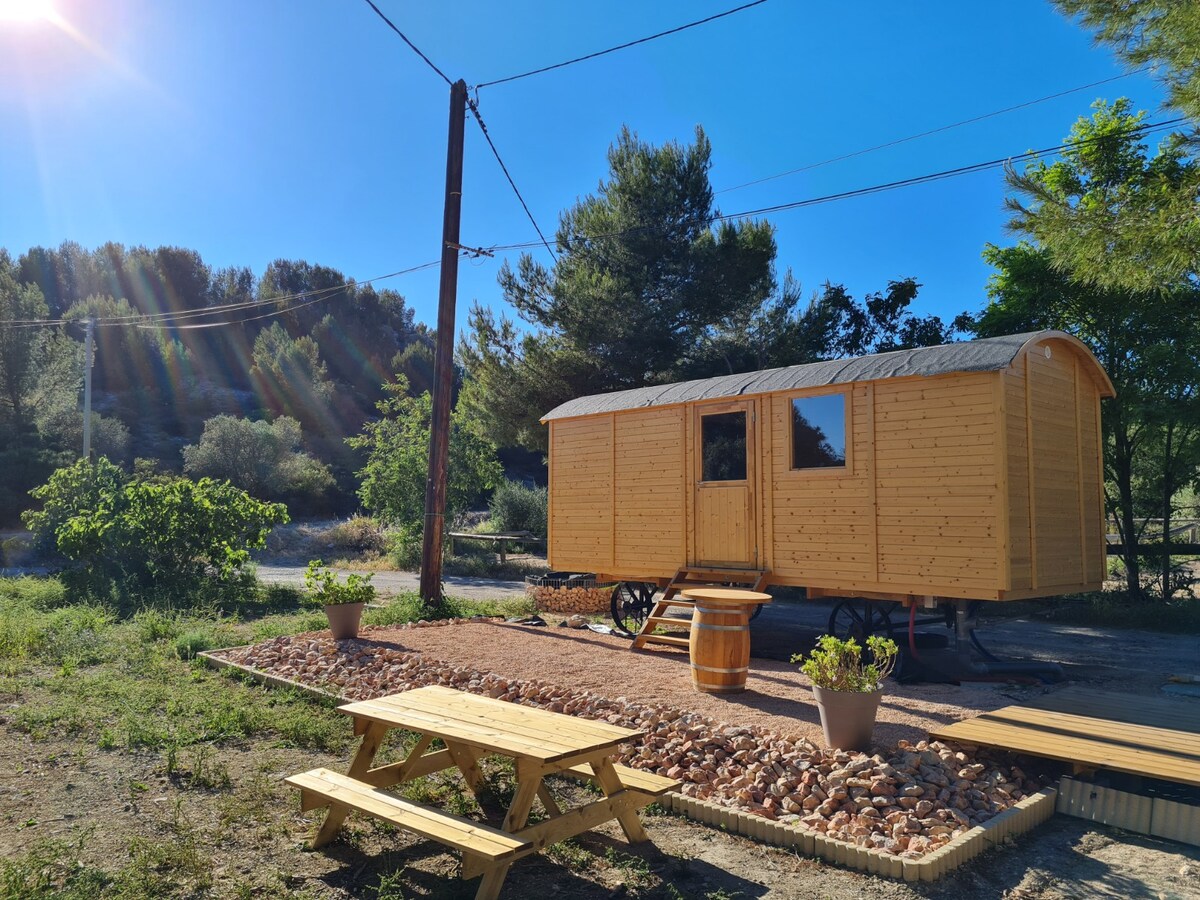 A wooden caravan is positioned in a natural setting, surrounded by greenery. Sunlight casts a warm glow on the exterior, highlighting the natural wood finish. A picnic table sits nearby on a gravel area, with planted pots positioned for added natural detail.