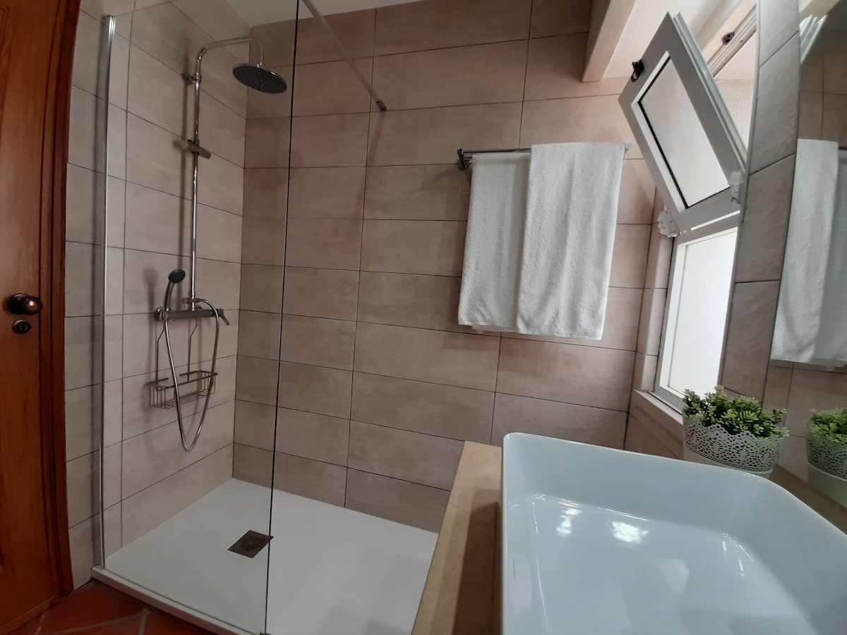 Bathroom with large shower and natural light.