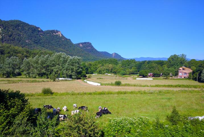Mas Prat de la Plaça – Rural House gallery image 4