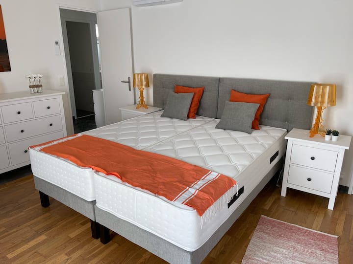 Large room of 18 m2  with king size bed. Large storage closet. Dresser. Desk for remote work.