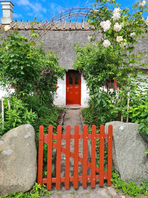 The old smithy on Bogø
